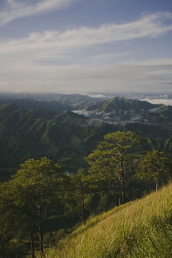 green trees on mountain under cloudy sky during daytime