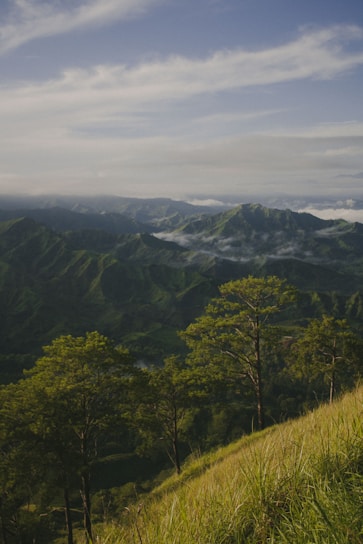 green trees on mountain under cloudy sky during daytime