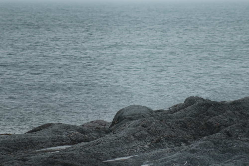 black rock formation near body of water during daytime