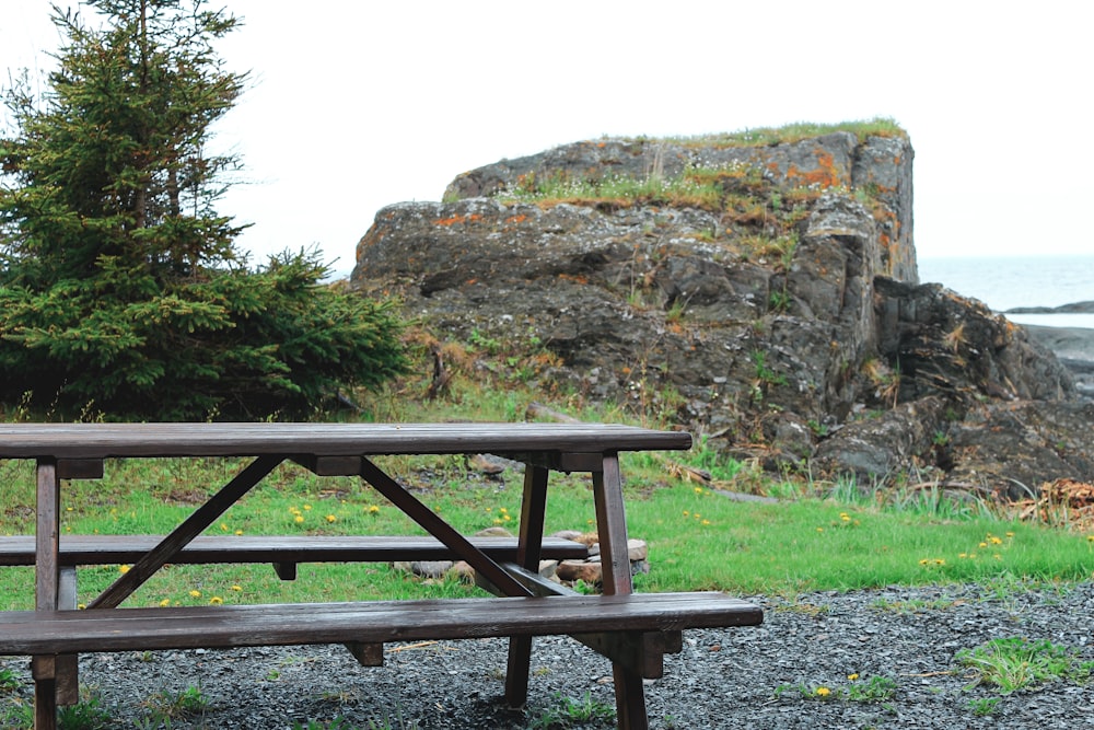 brown wooden bench on green grass field near brown rock formation during daytime