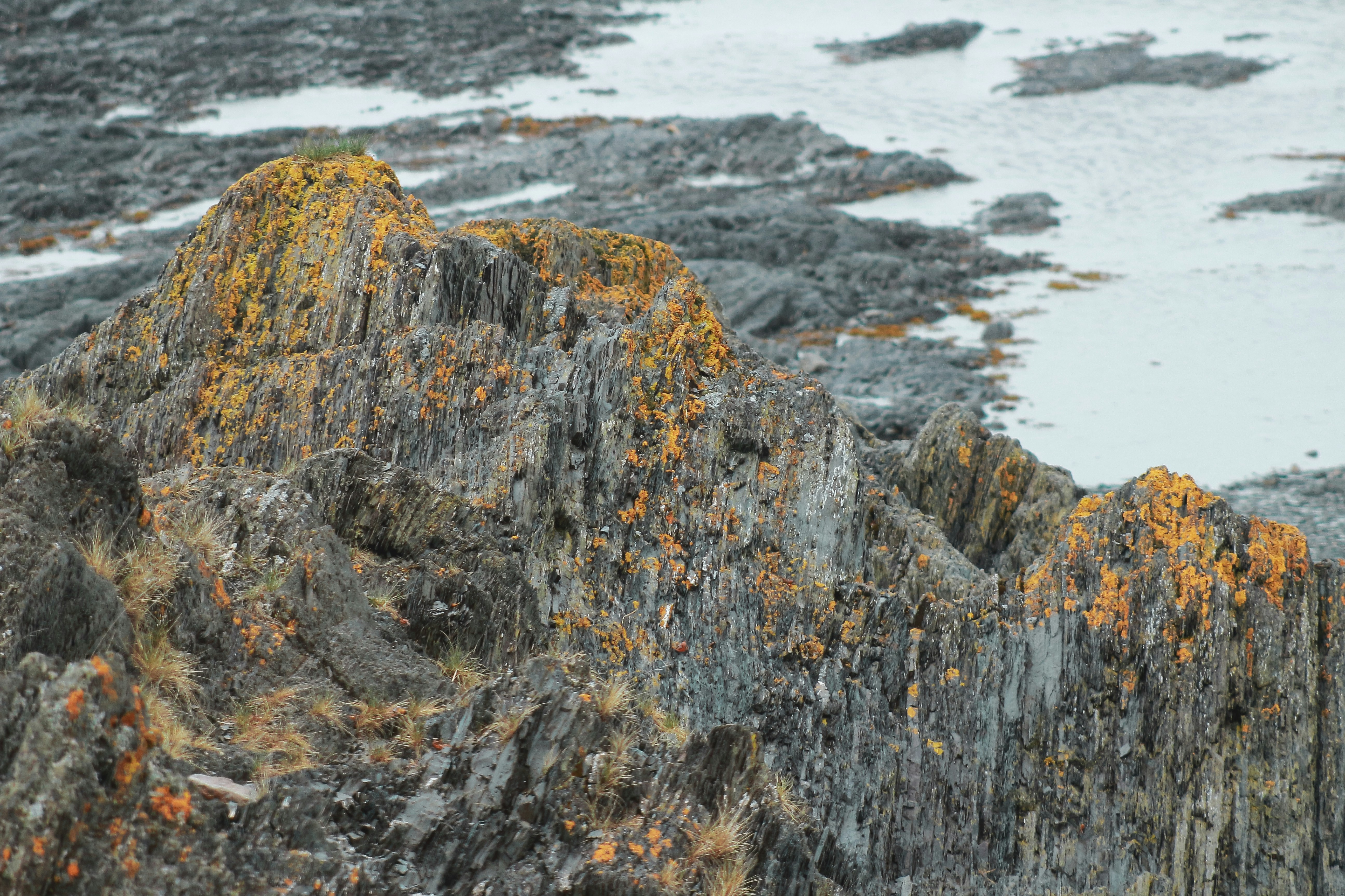 brown and green rock formation near body of water during daytime