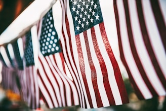 a flag on flag pole