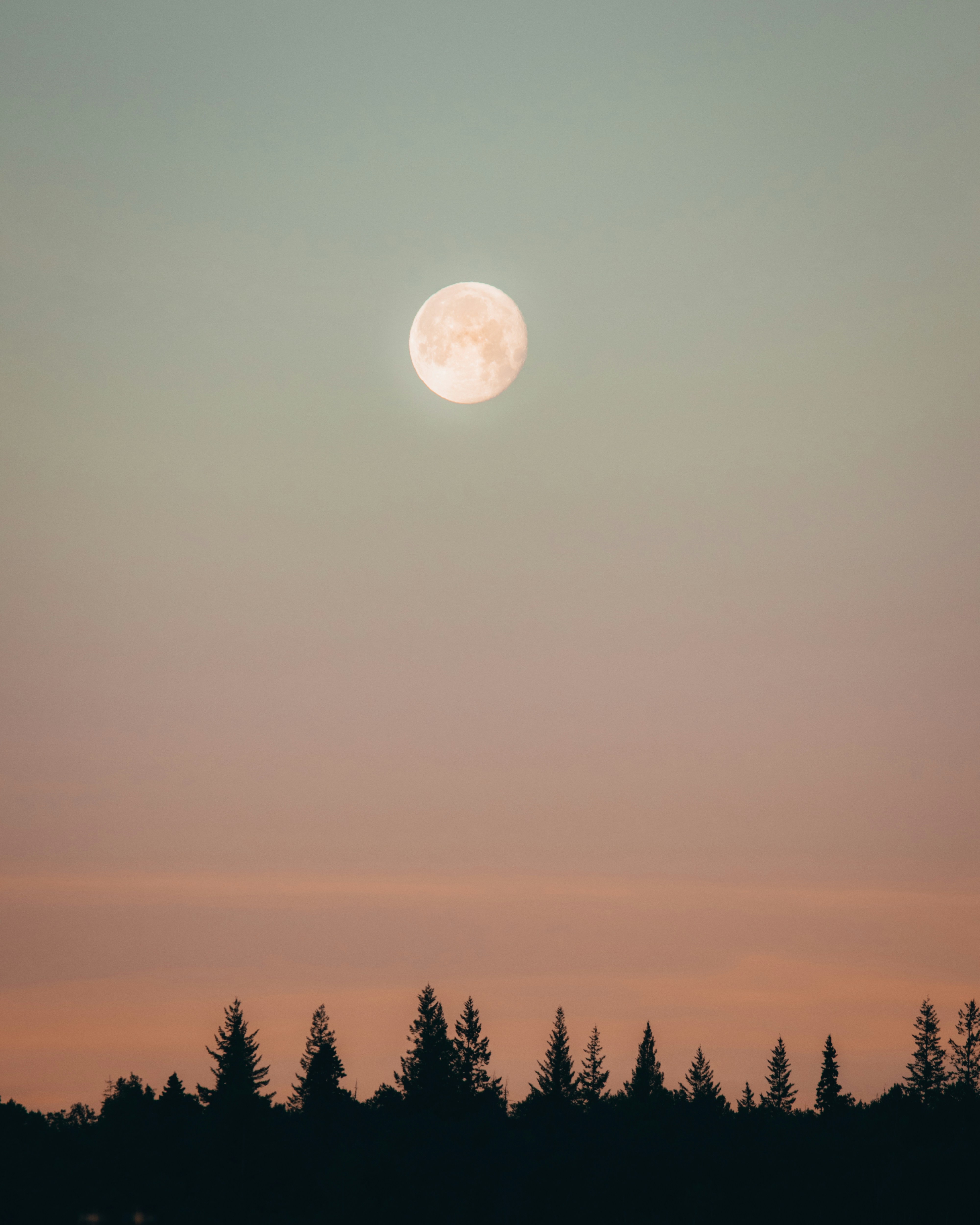 Photo by harsh_singh_c