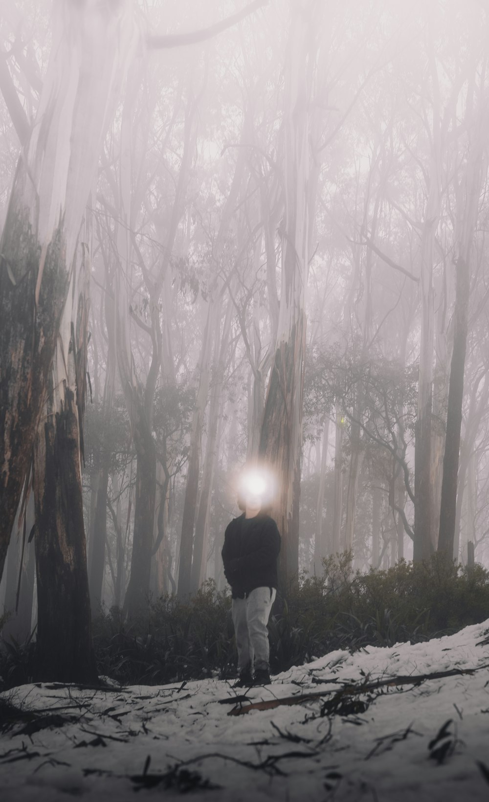 person in white shirt standing in forest during daytime