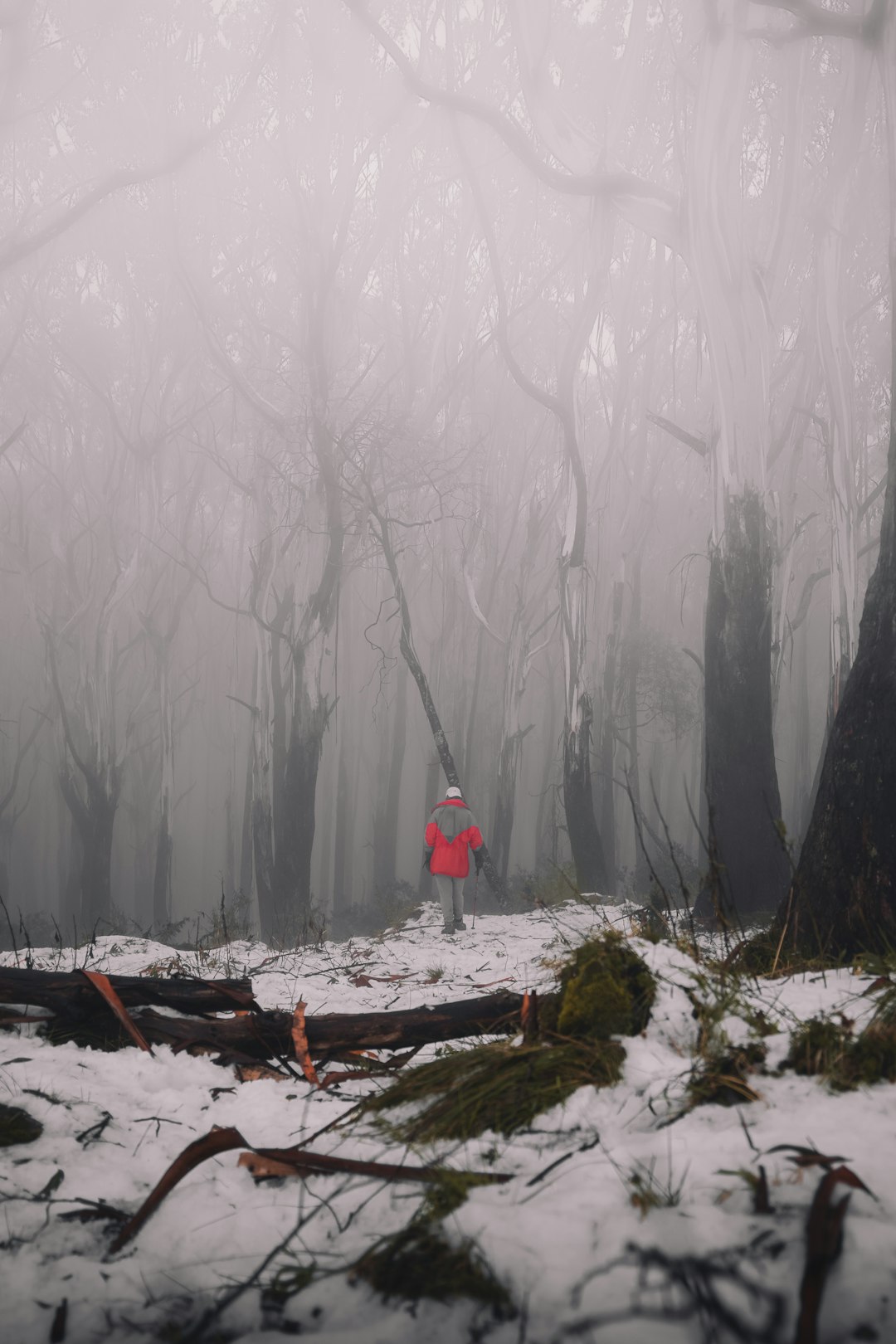 person in red jacket standing on snow covered ground during foggy weather
