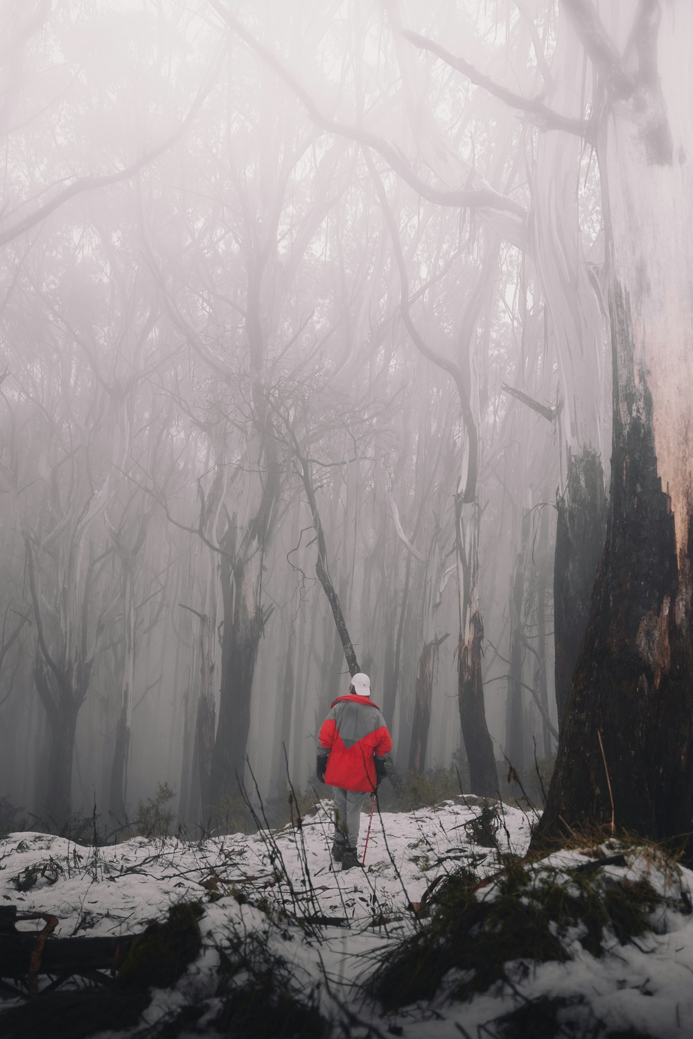 person in red jacket standing on snow covered ground