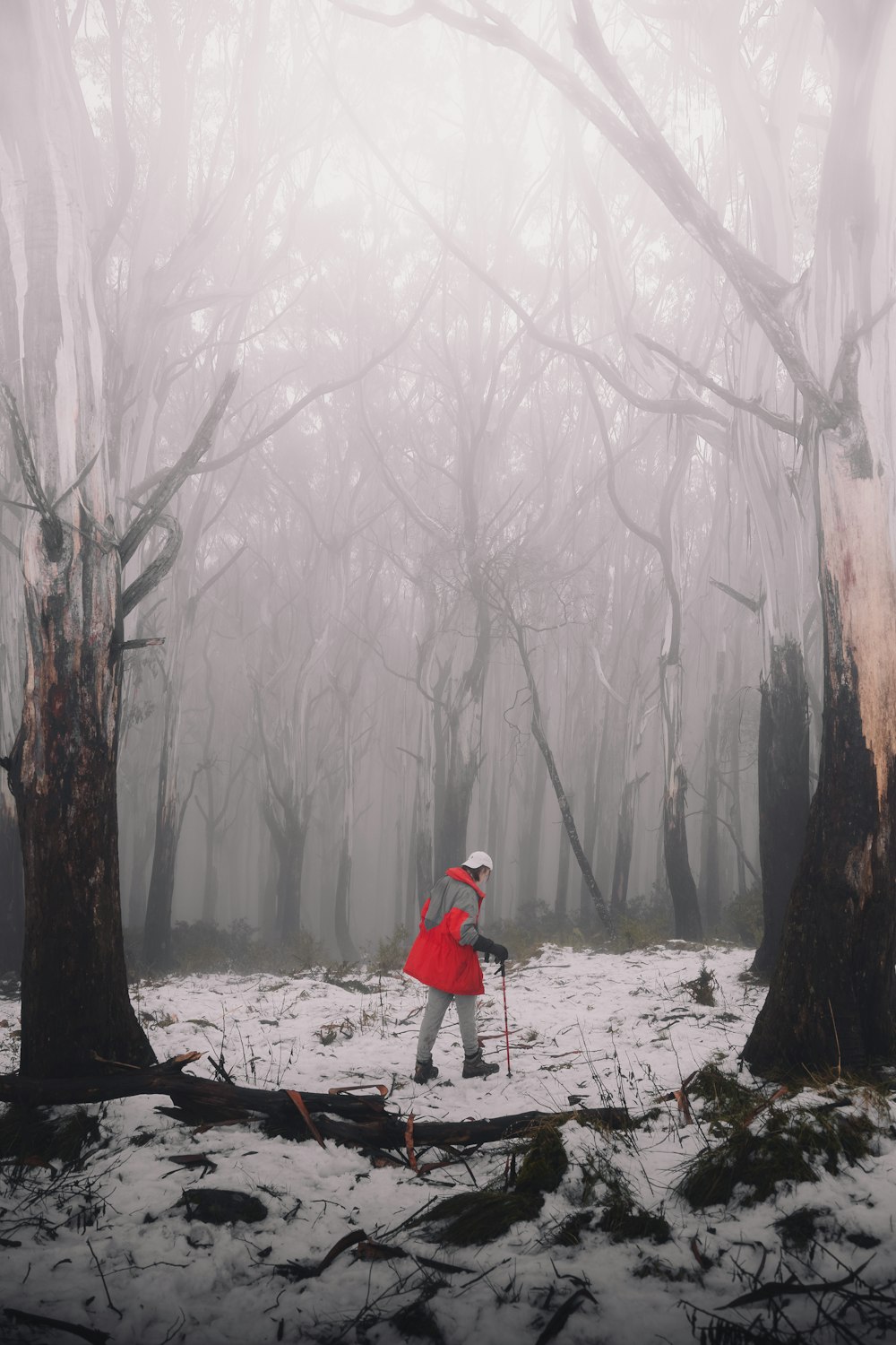 Person in roter Jacke und grauer Hose steht auf schneebedecktem Boden