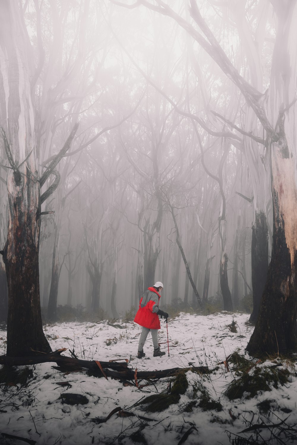 person in red jacket and gray pants standing on snow covered ground