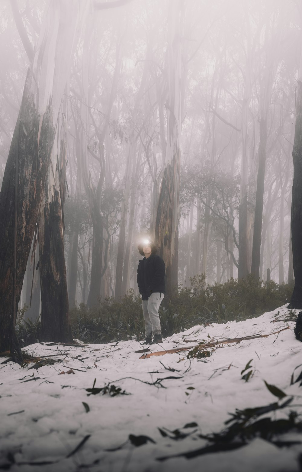 person in black jacket walking on snow covered ground