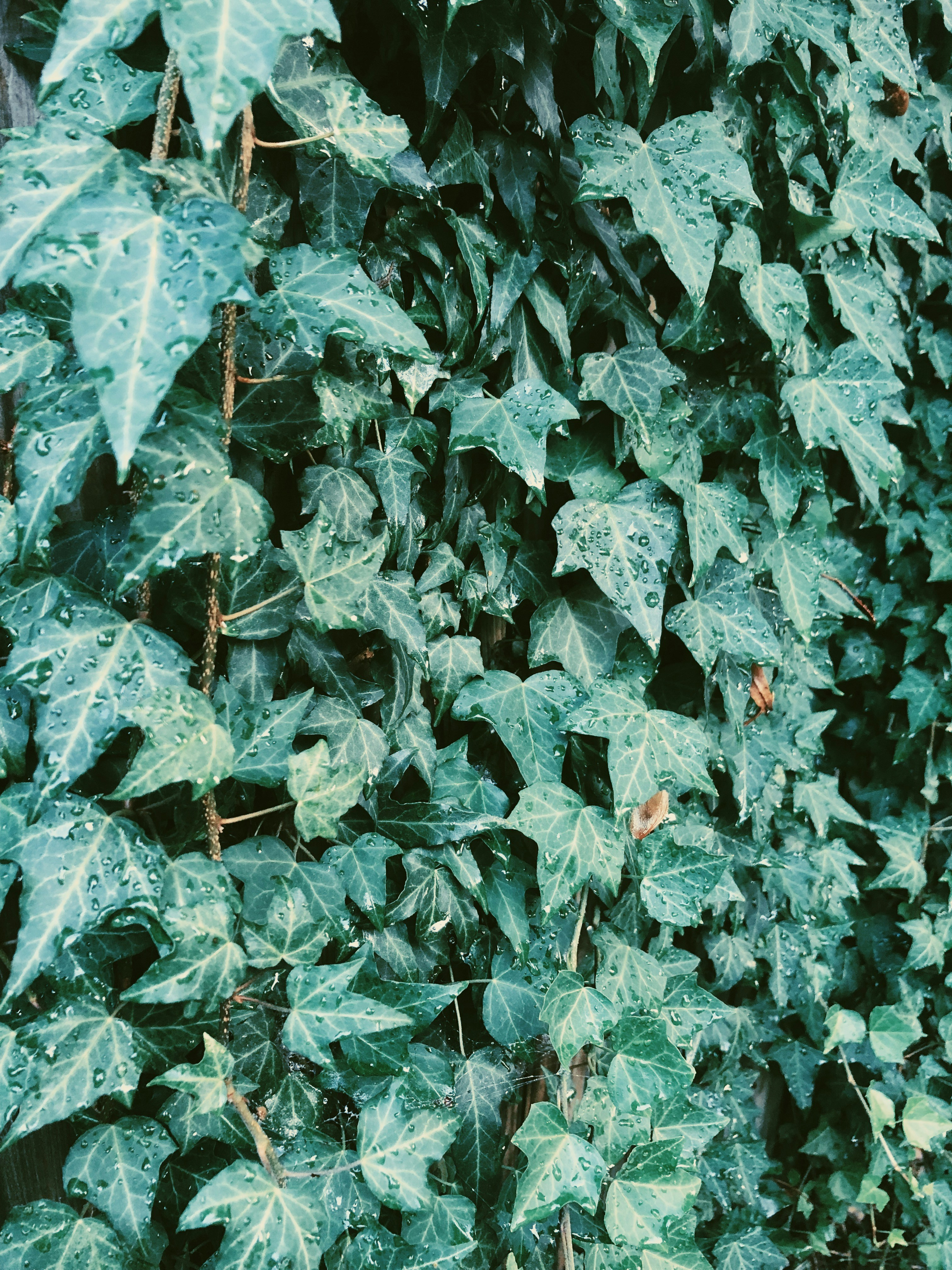 Photo by cys_escapes