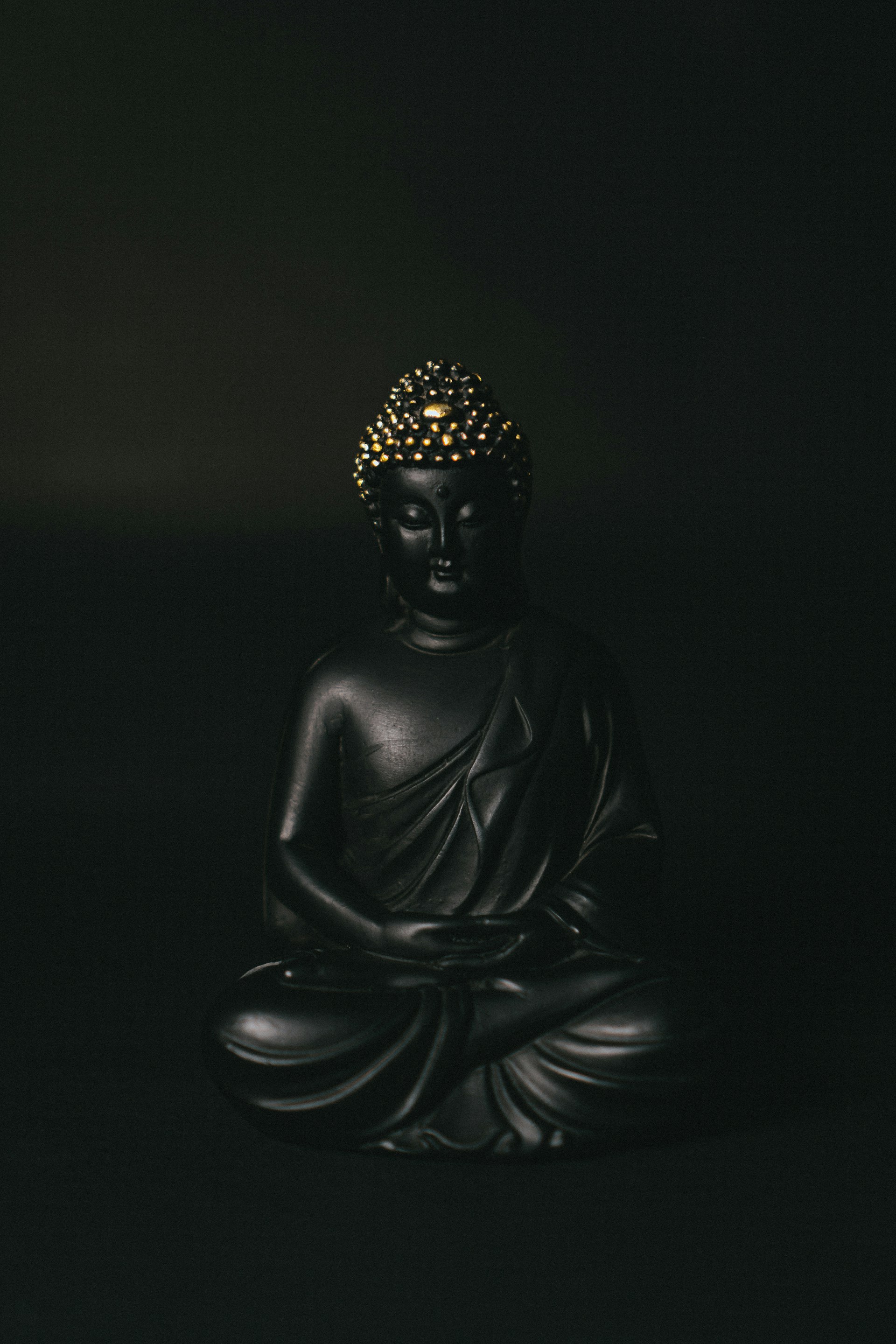 black gautama buddha statue in black background