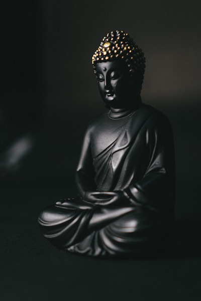black gautama buddha statue on black surface