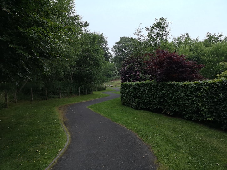 A peaceful landscape with a winding path through lush greenery.