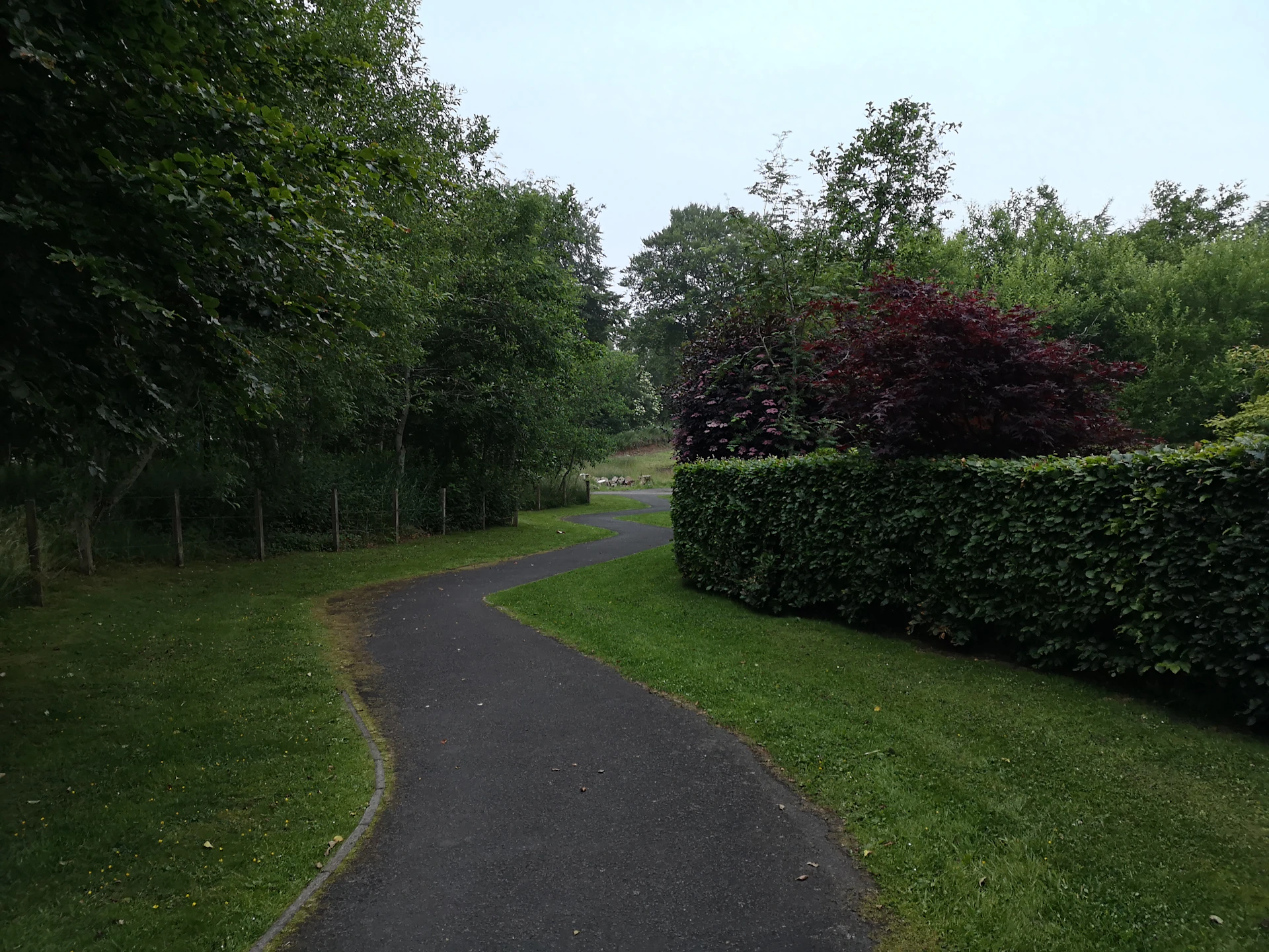 woman wearing yellow long-sleeved dress under white clouds and blue sky during daytime