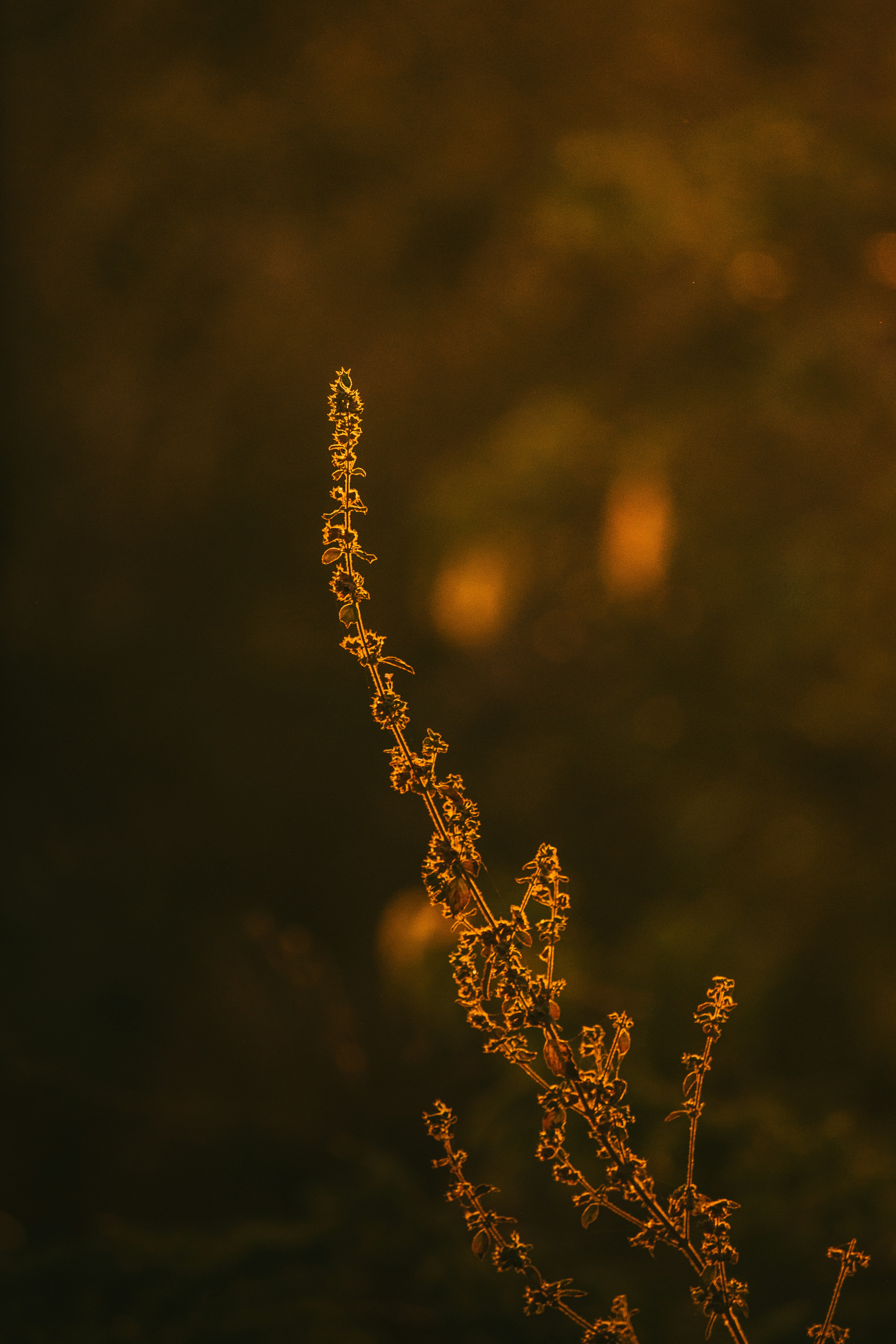 Photo by sagarkulkarni