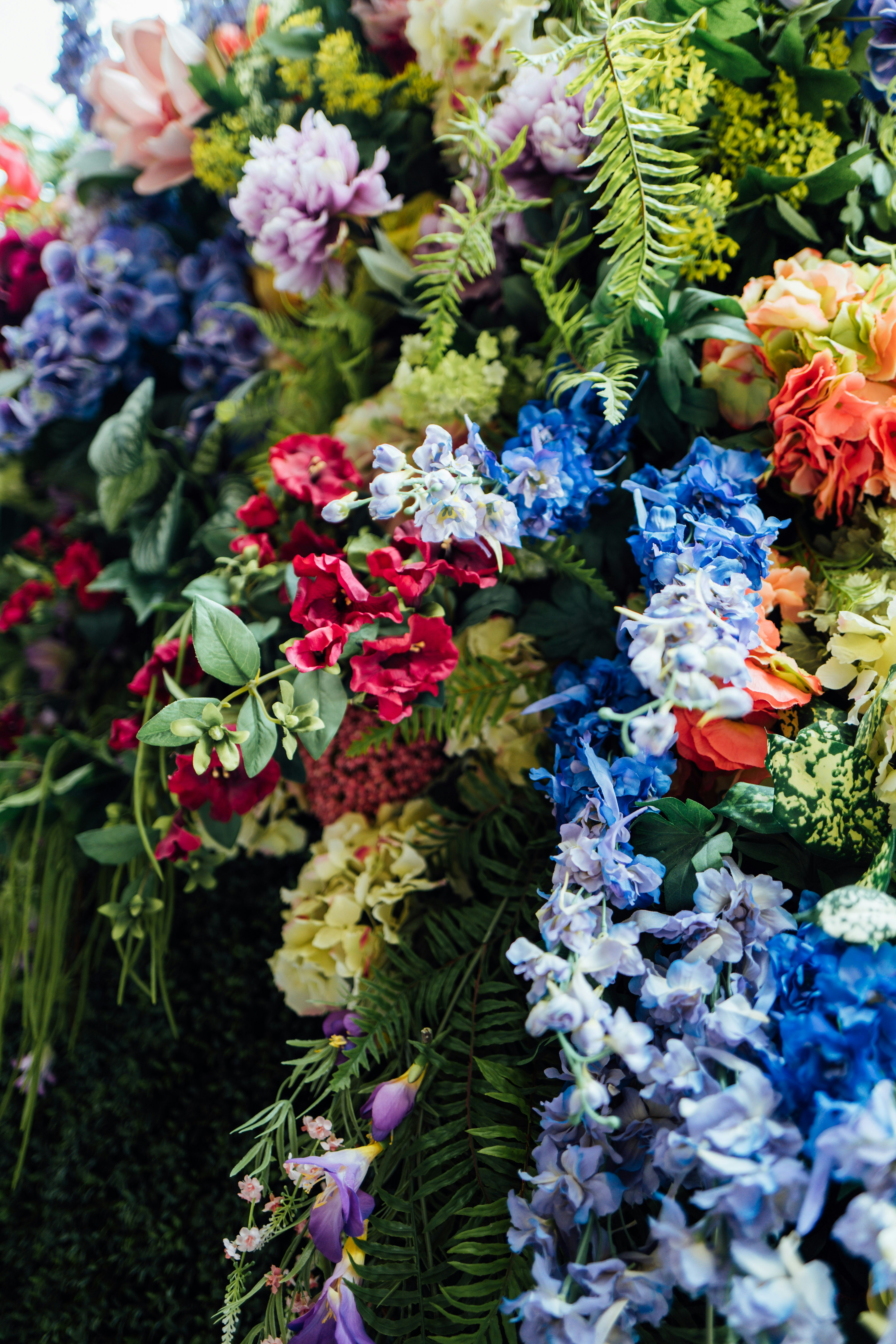 Photo by chuttersnap