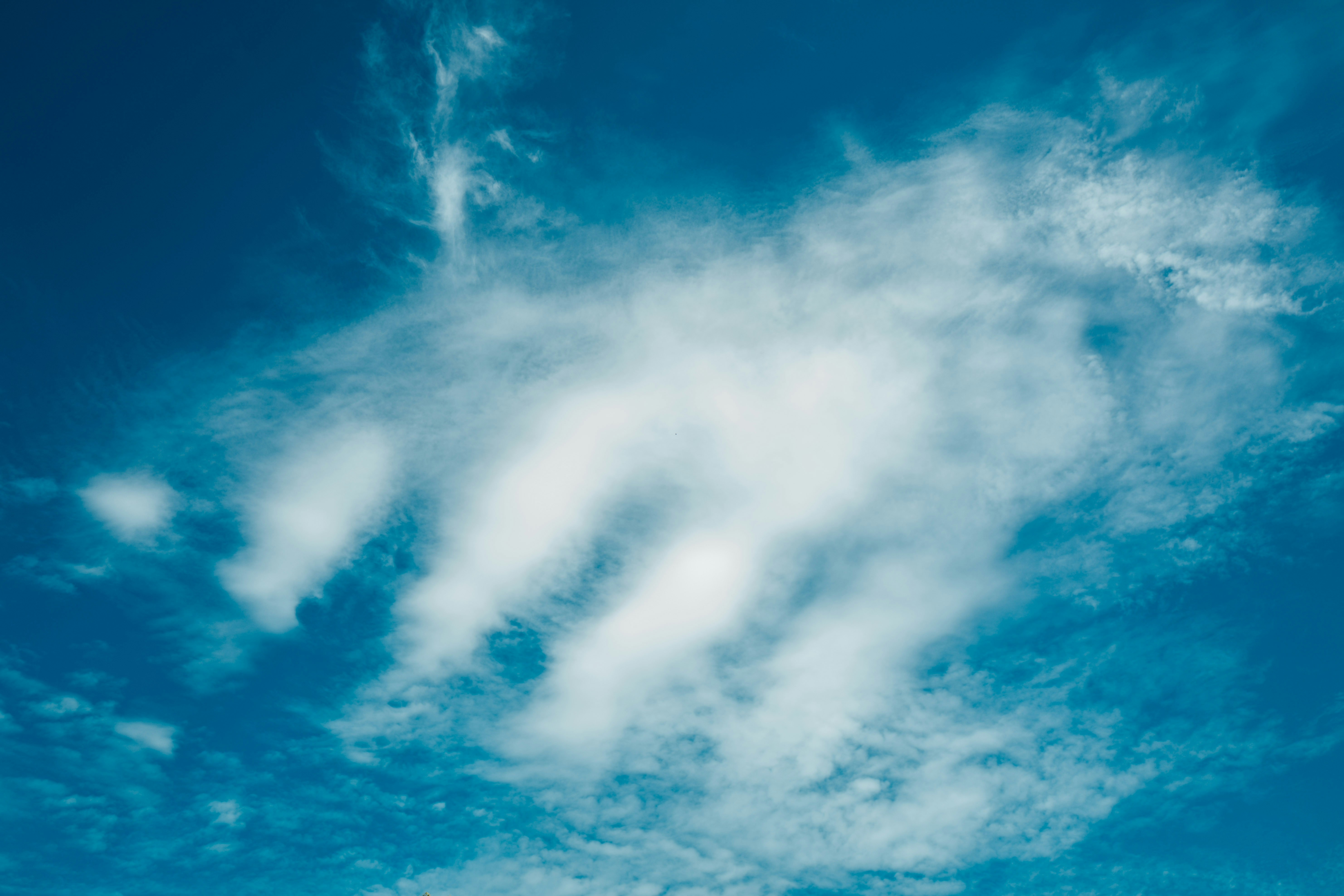 Photo by chuttersnap