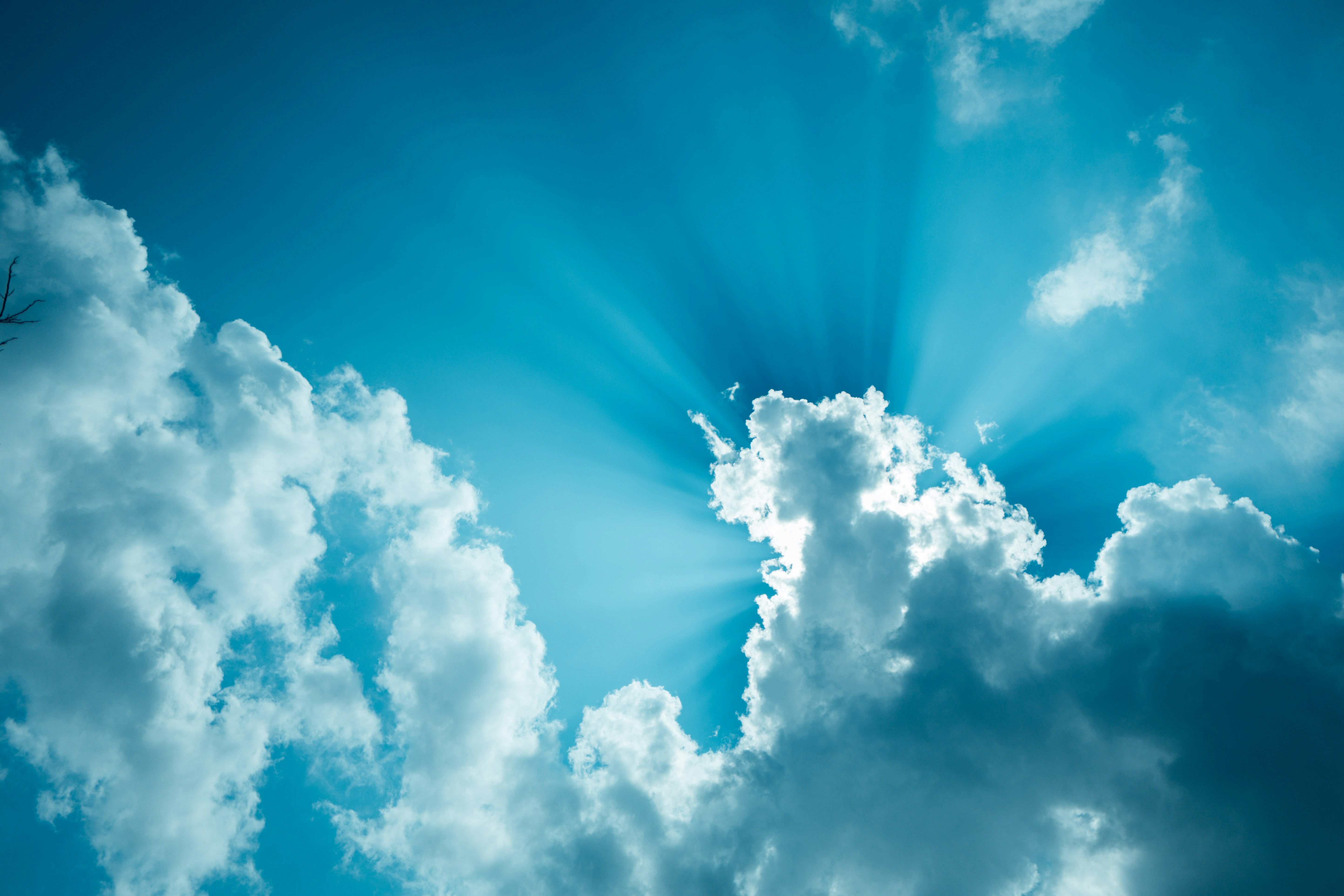 Photo by chuttersnap