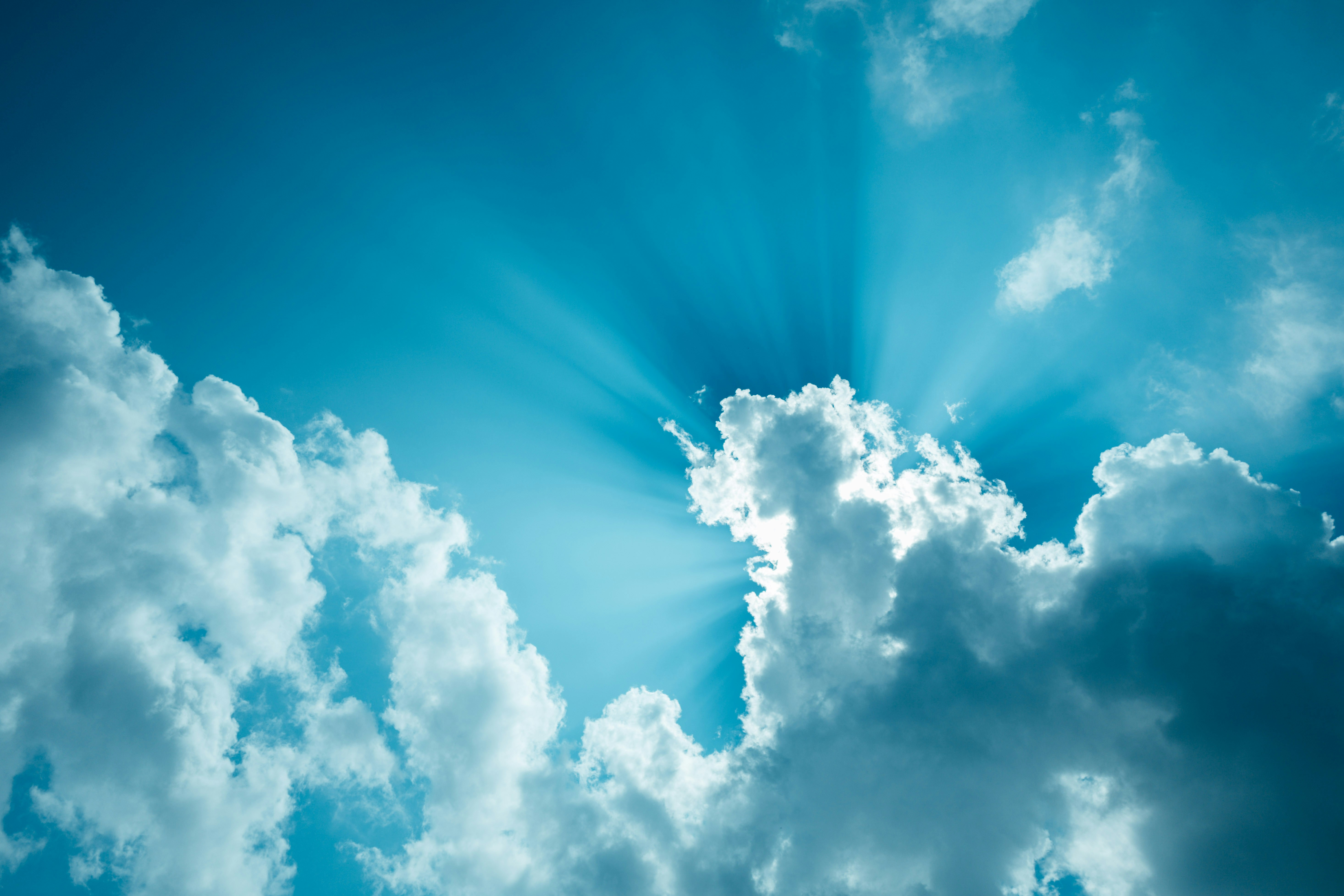 Photo by chuttersnap