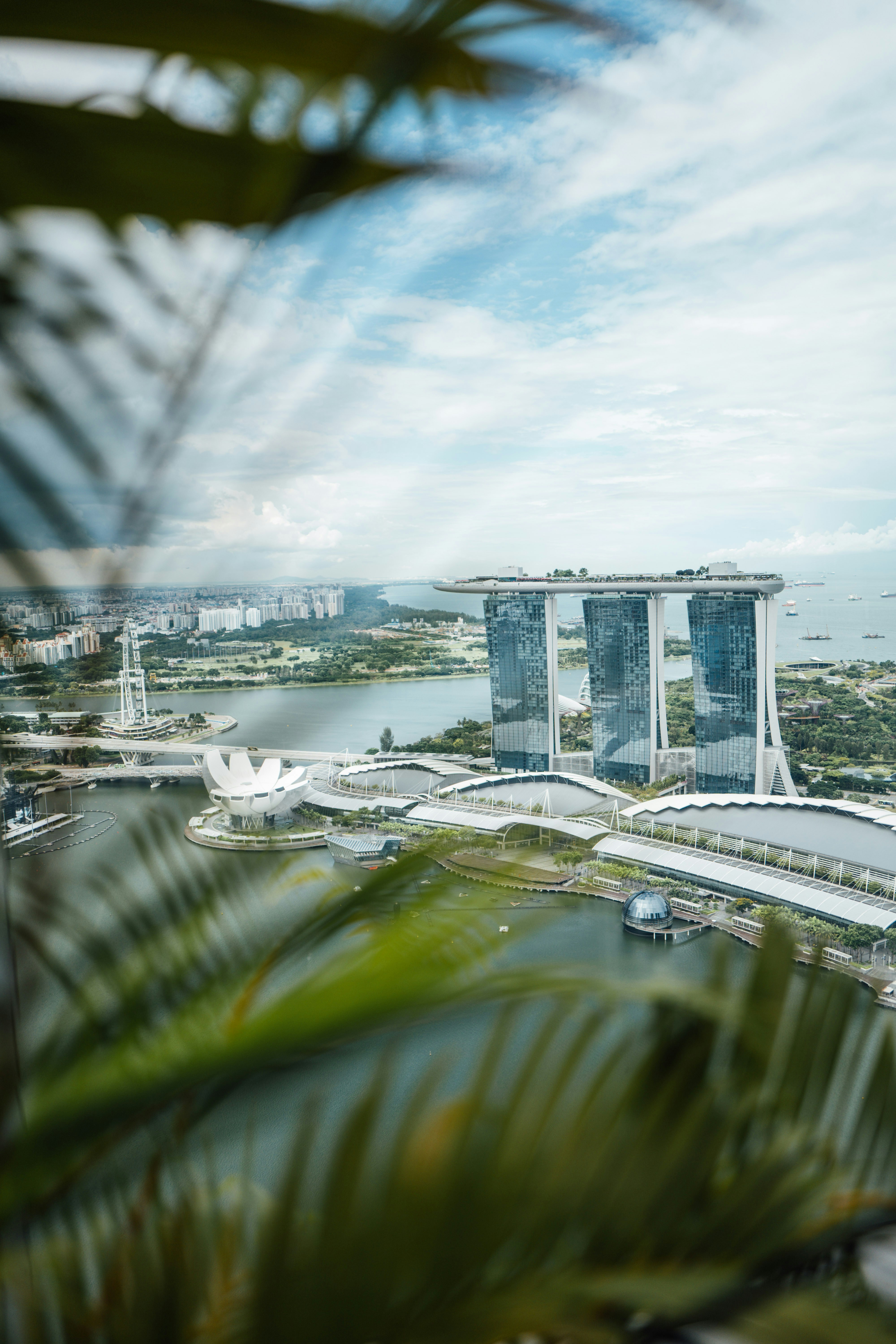 Photo by chuttersnap