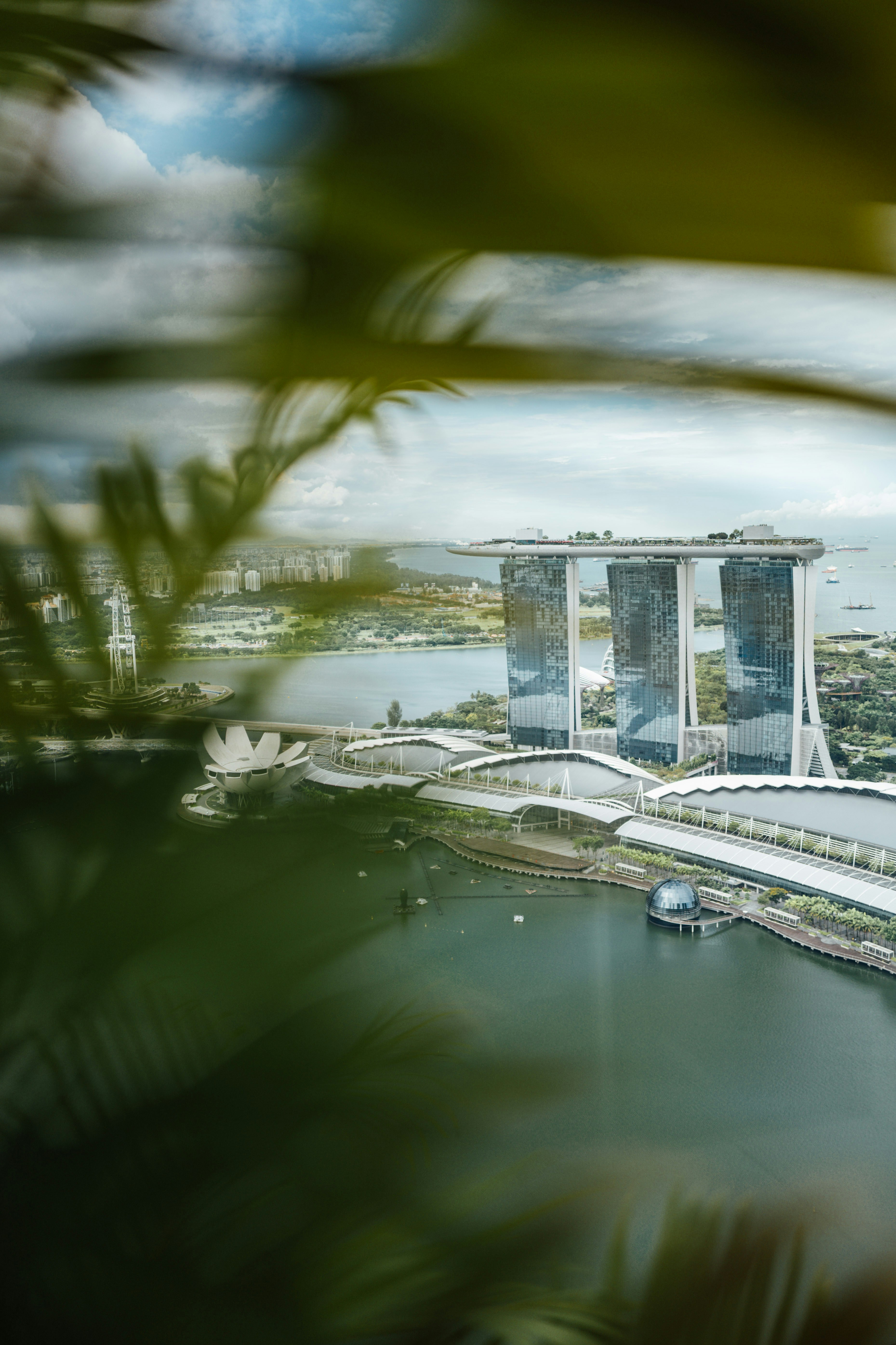 Photo by chuttersnap