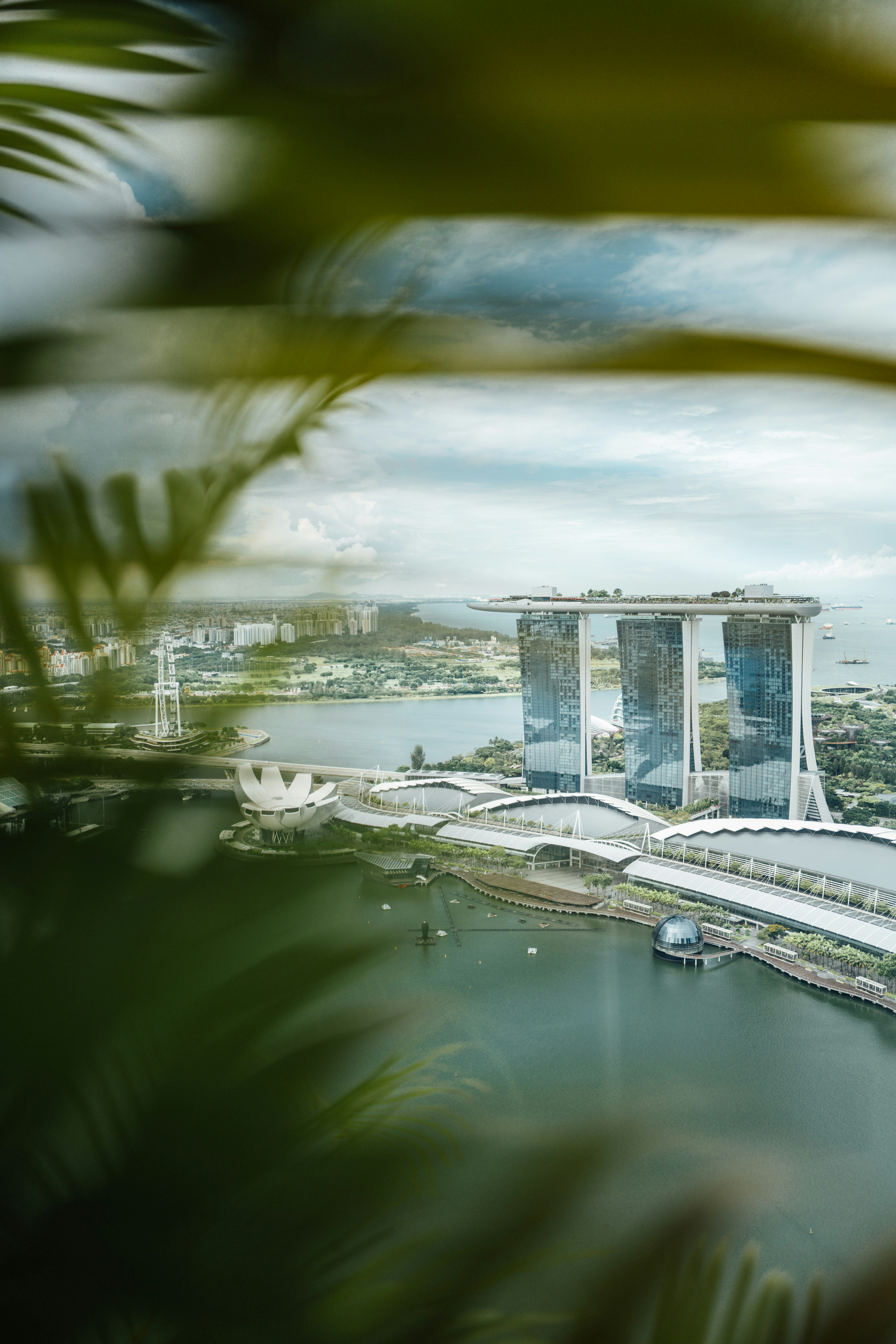 Photo by chuttersnap