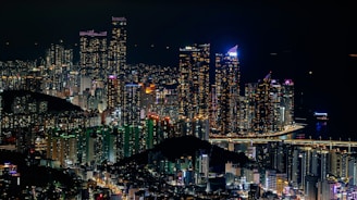 city with high rise buildings during night time