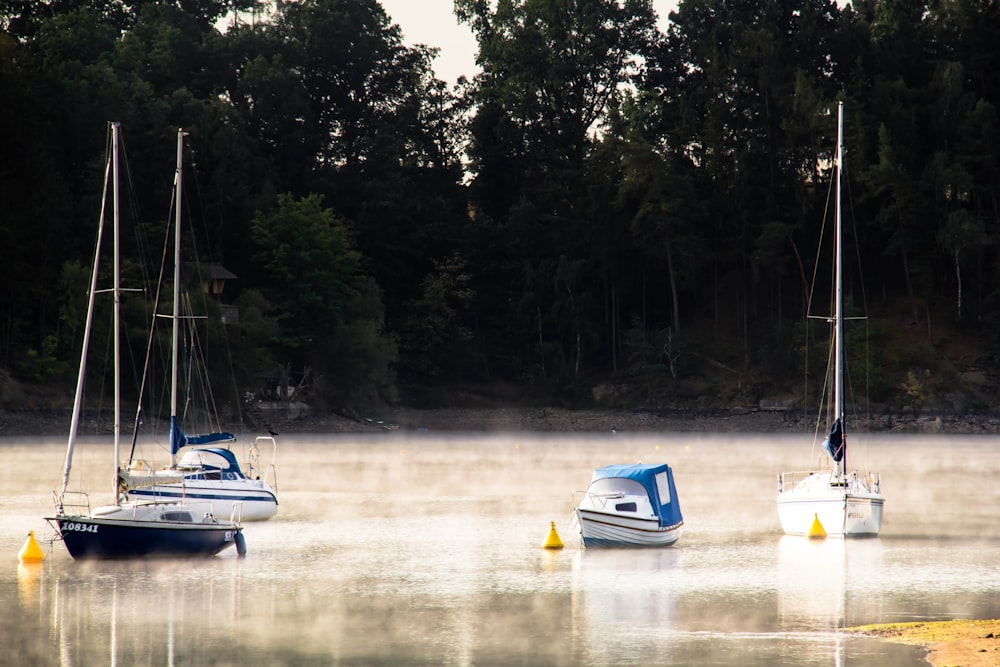 white and blue boat on river during daytime