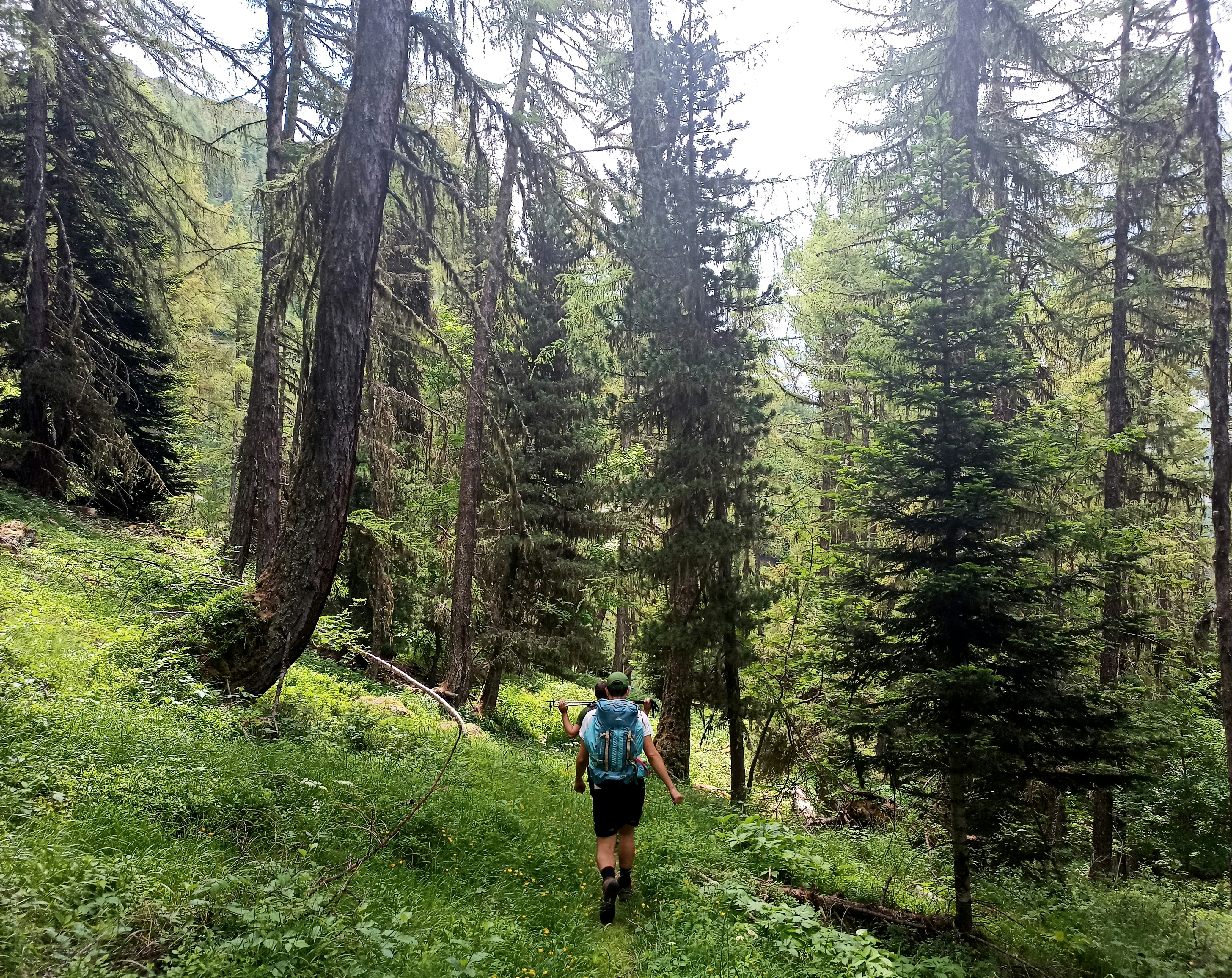 man hiking in forest