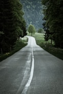 gray concrete road between green trees during daytime