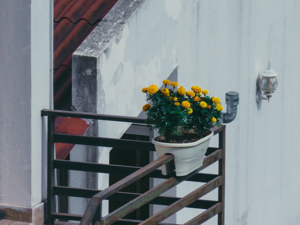 yellow and red flower on white ceramic pot