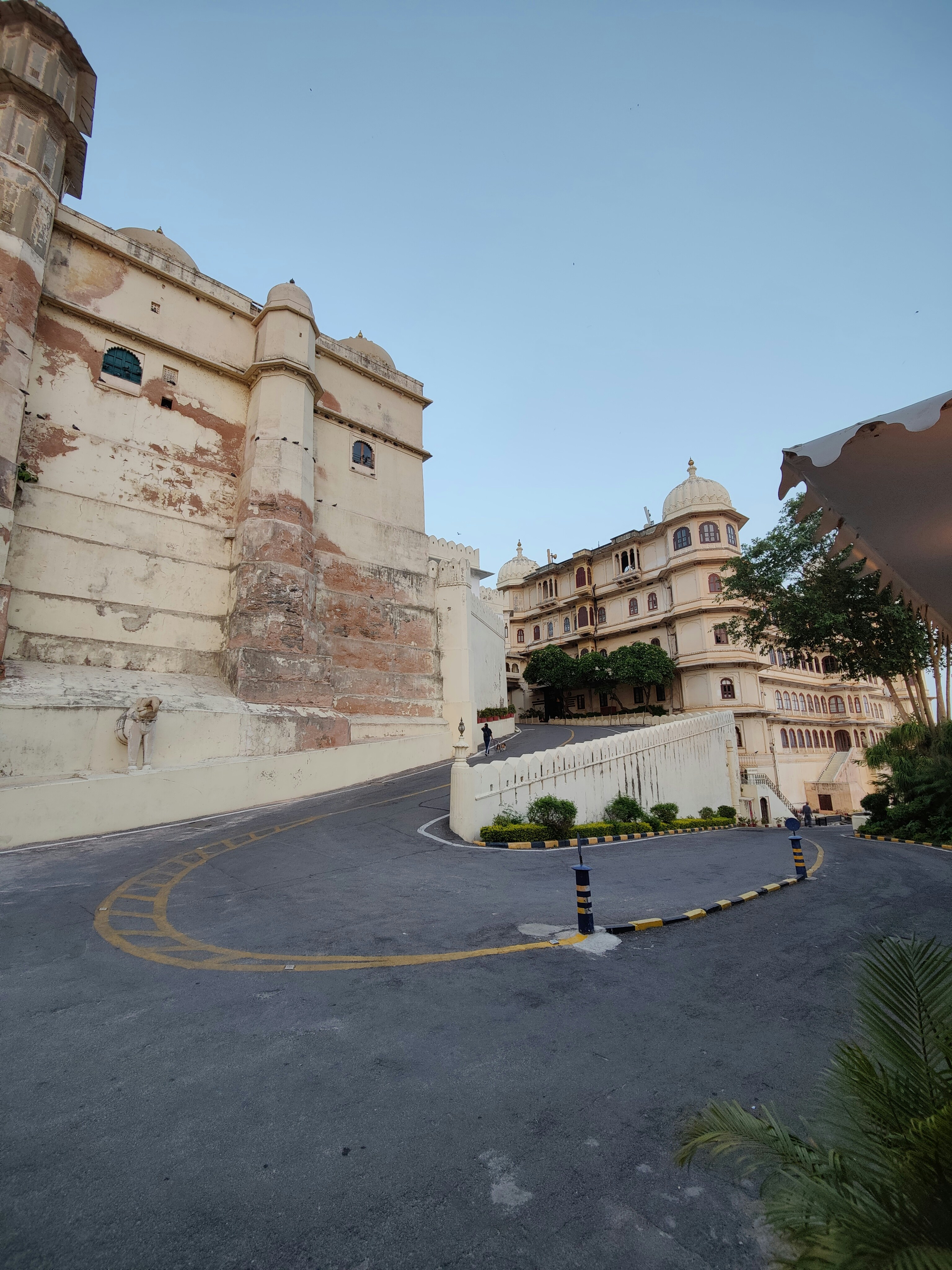 日中の緑の木々の近くの茶色のコンクリートの建物