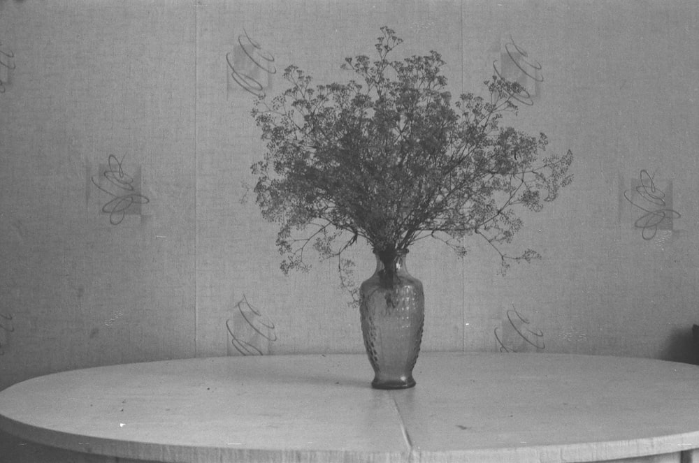 grayscale photo of tree in vase