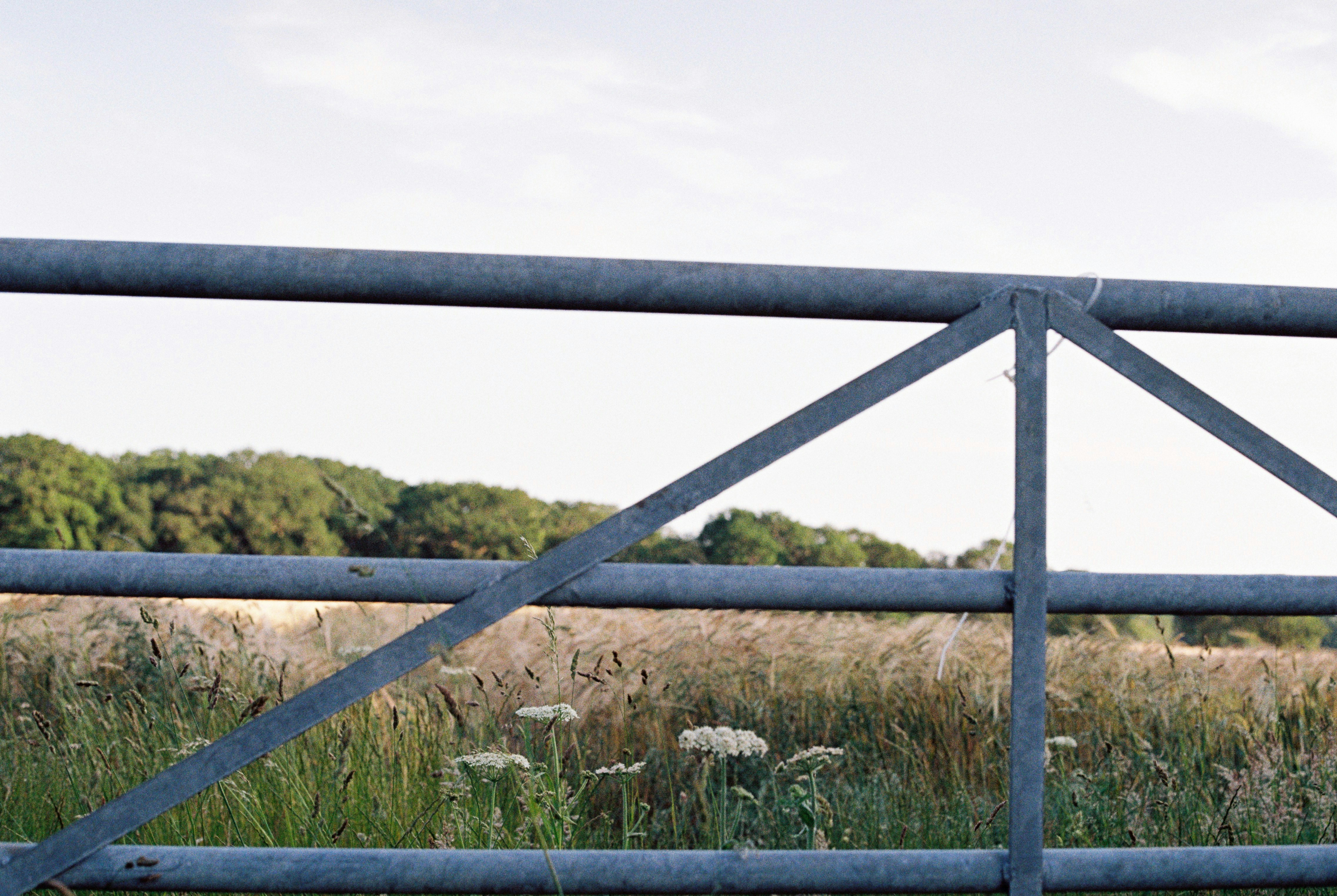 Photo by anniespratt