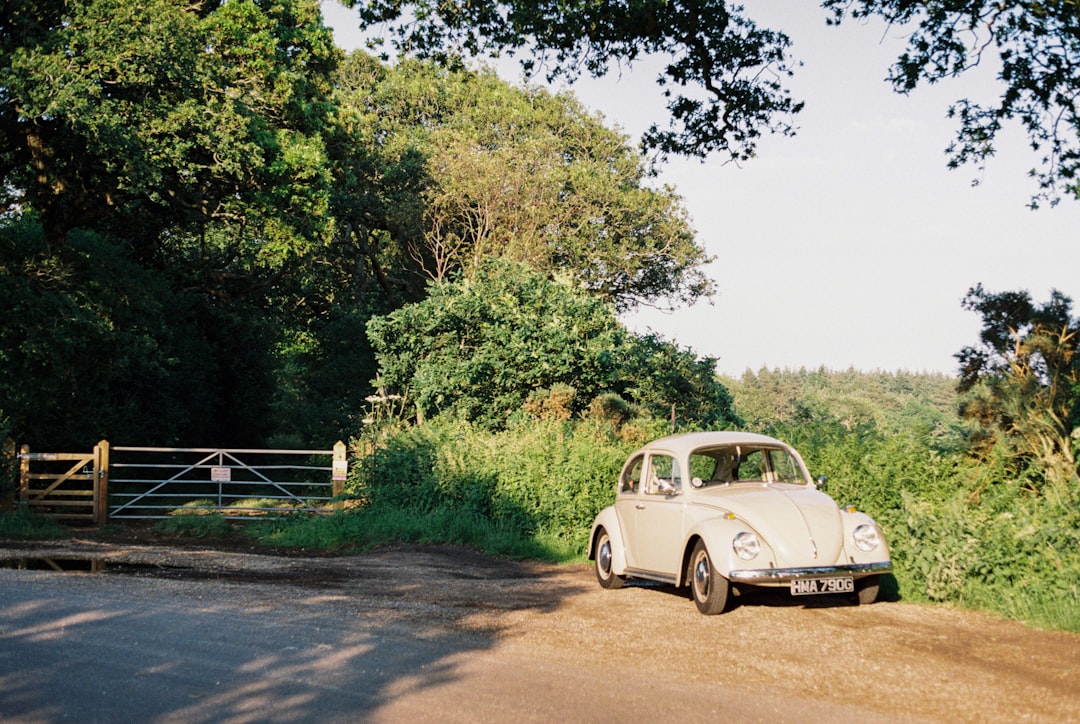 white volkswagen beetle parked on brown dirt road during daytime