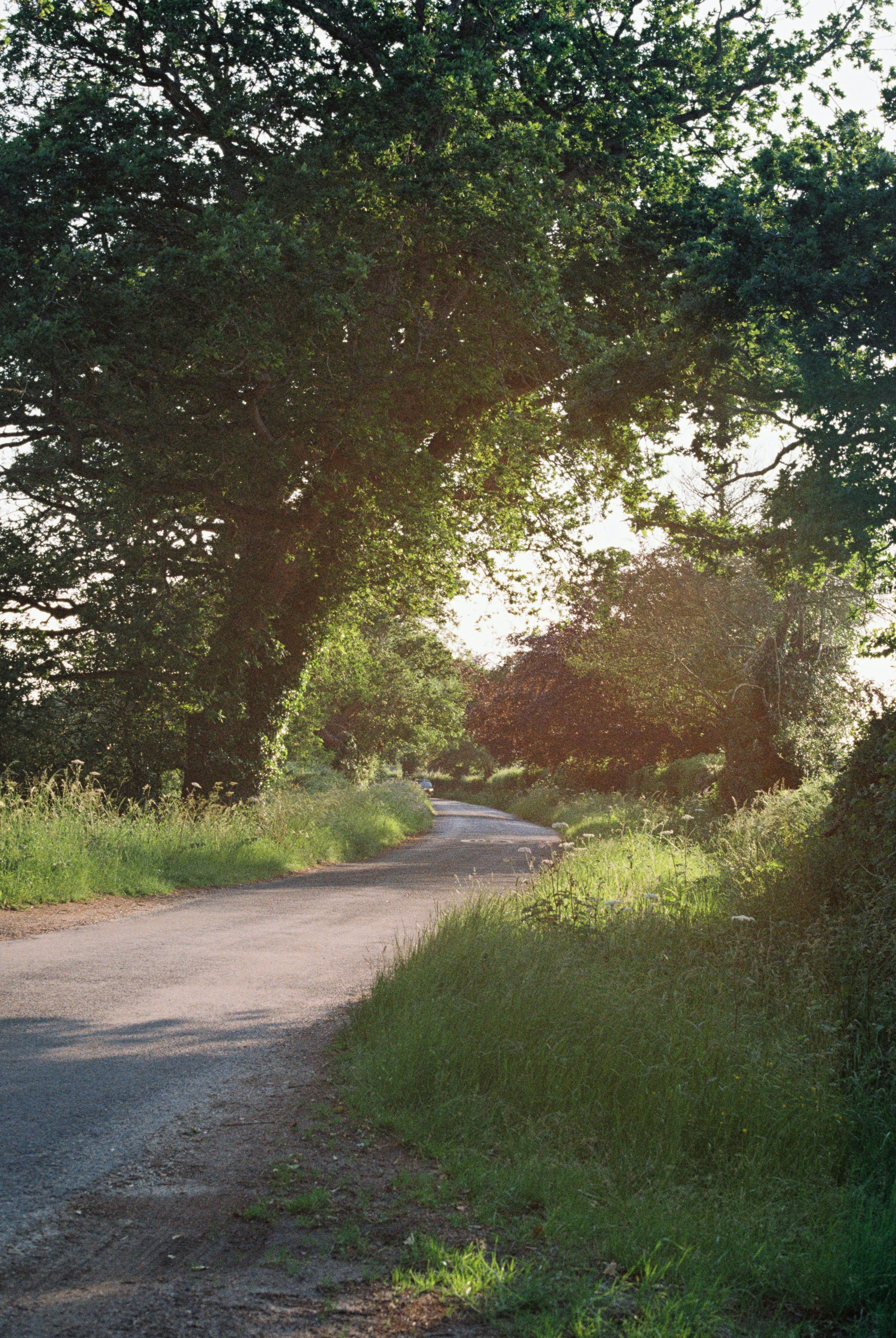 Photo by anniespratt