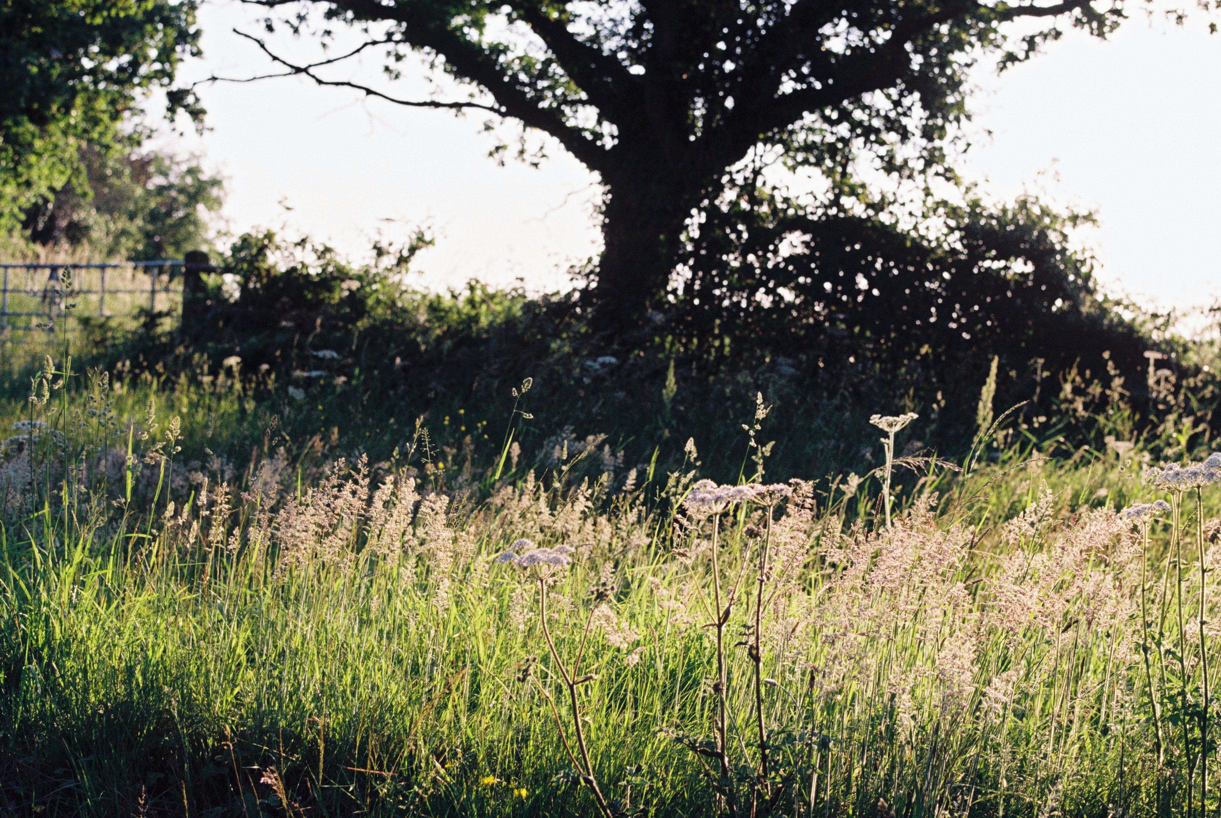 Photo by anniespratt