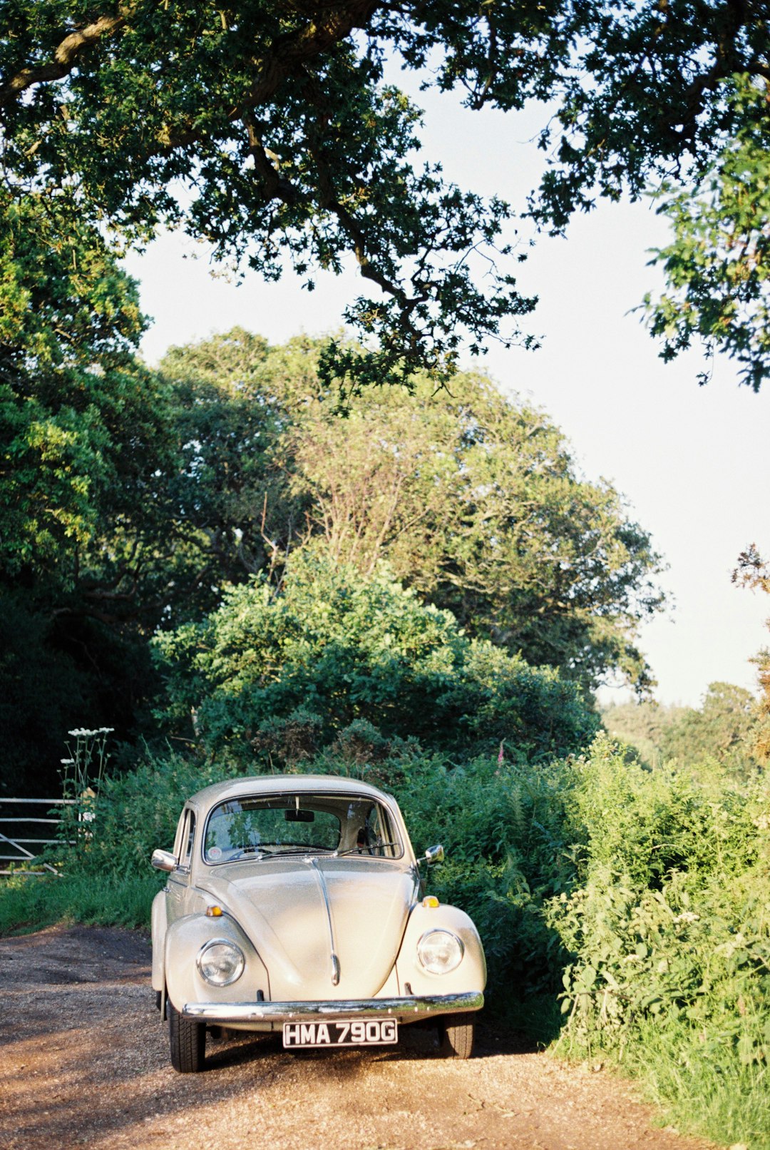 vintage car parked near green trees during daytime