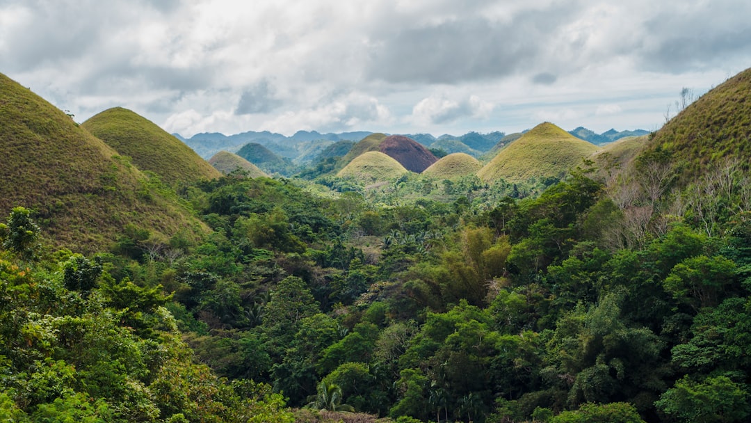 green trees on mountain under white clouds during daytime