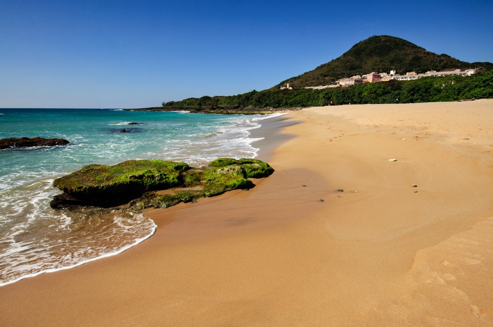 brown sand beach with green trees and mountain in distance under blue sky during daytime