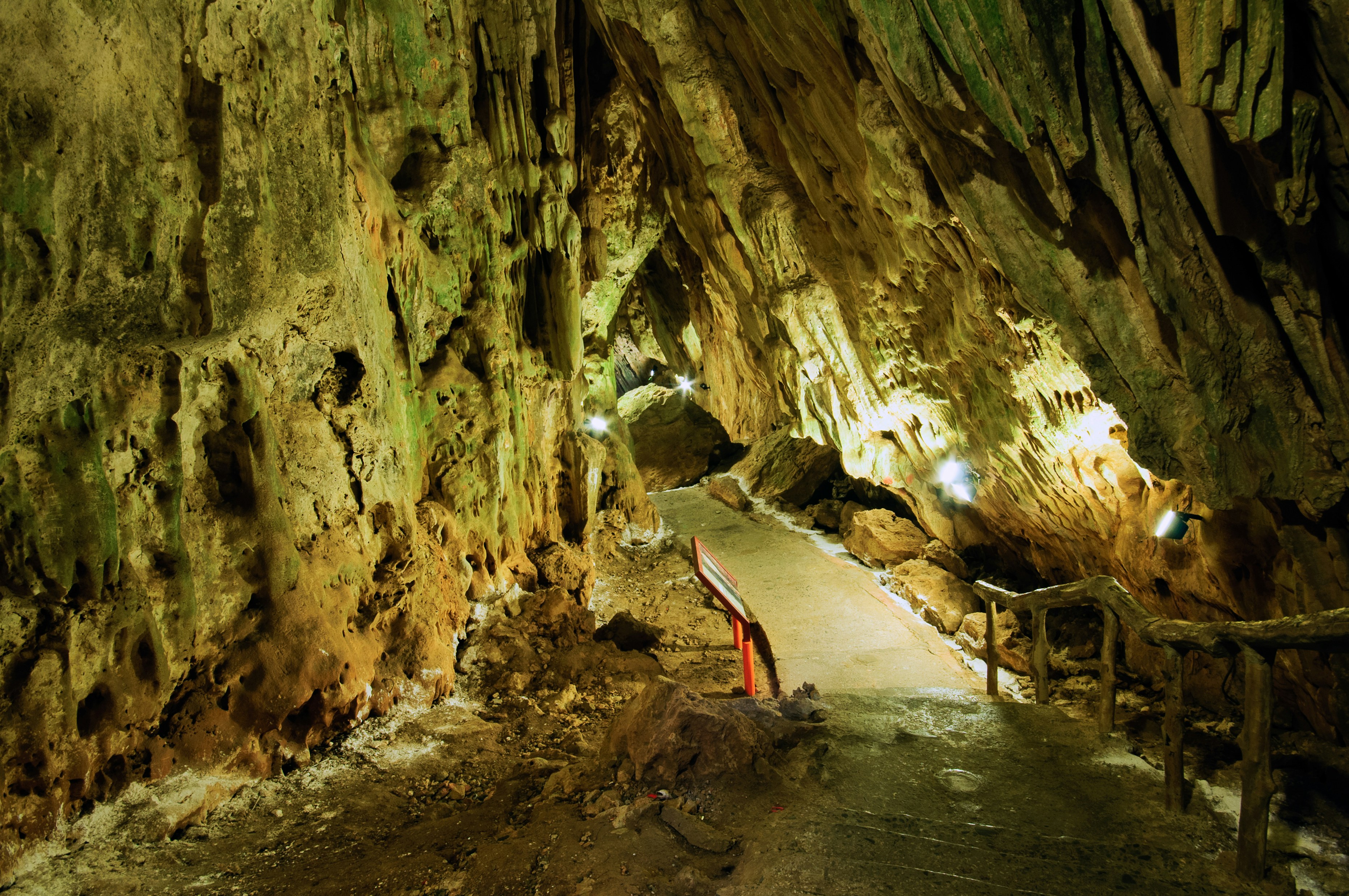 woman in red dress walking on brown wooden pathway stimulating zoom background