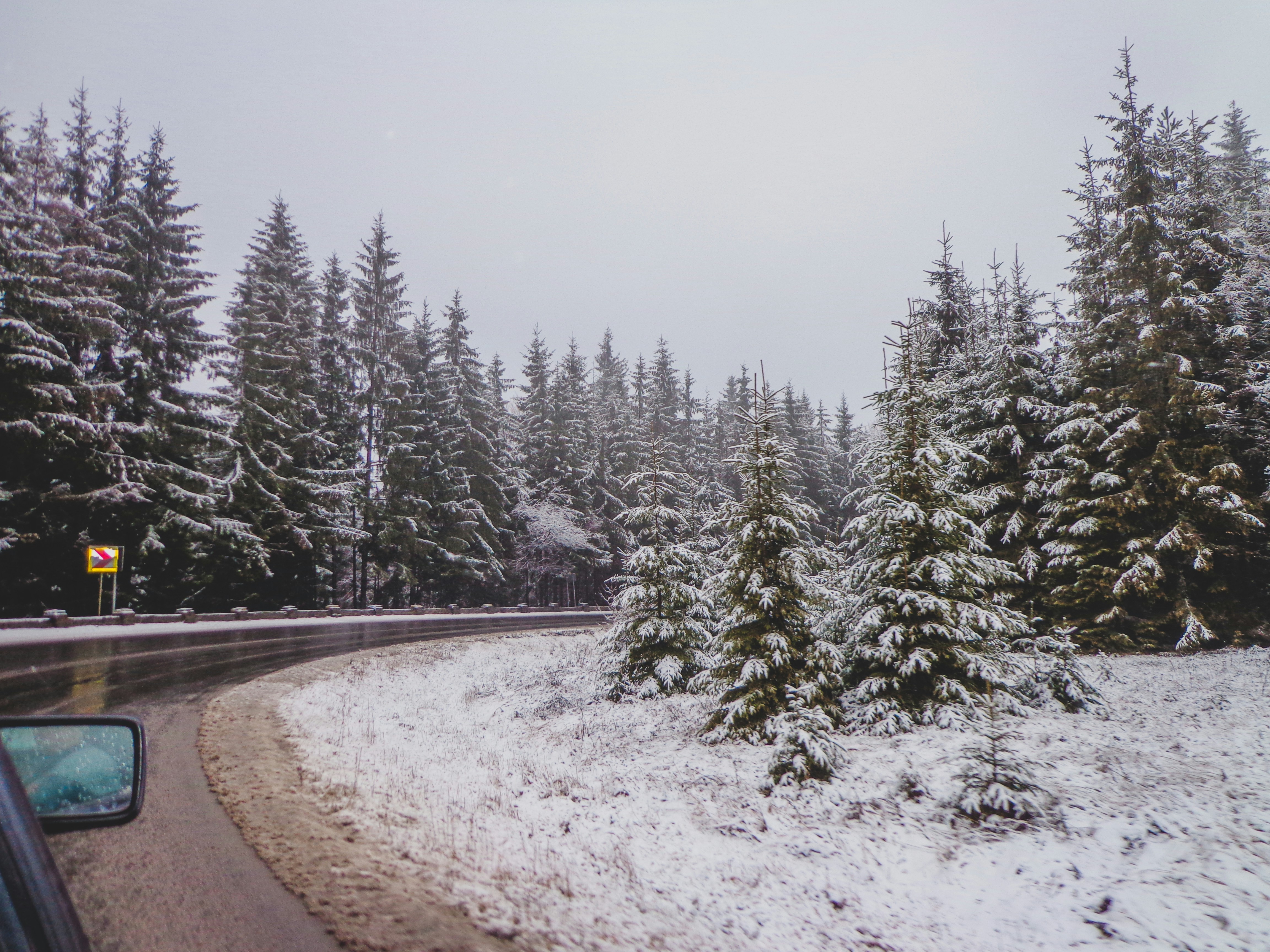 Photo by czapp_arpad