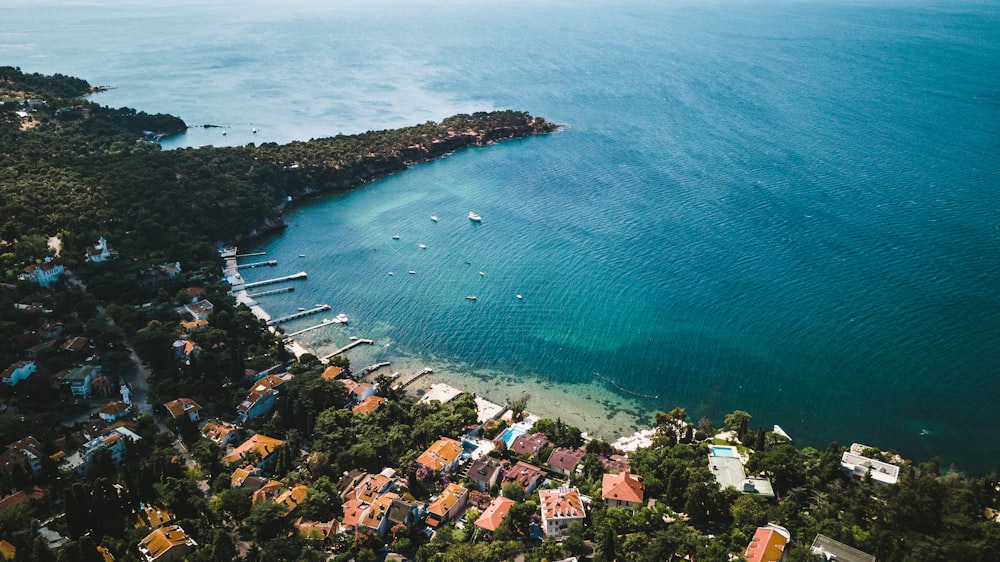 aerial view of people on beach during daytime