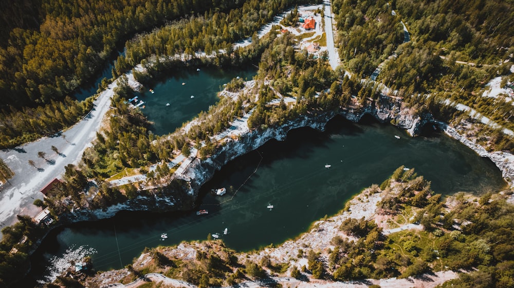 aerial view of green trees and body of water during daytime