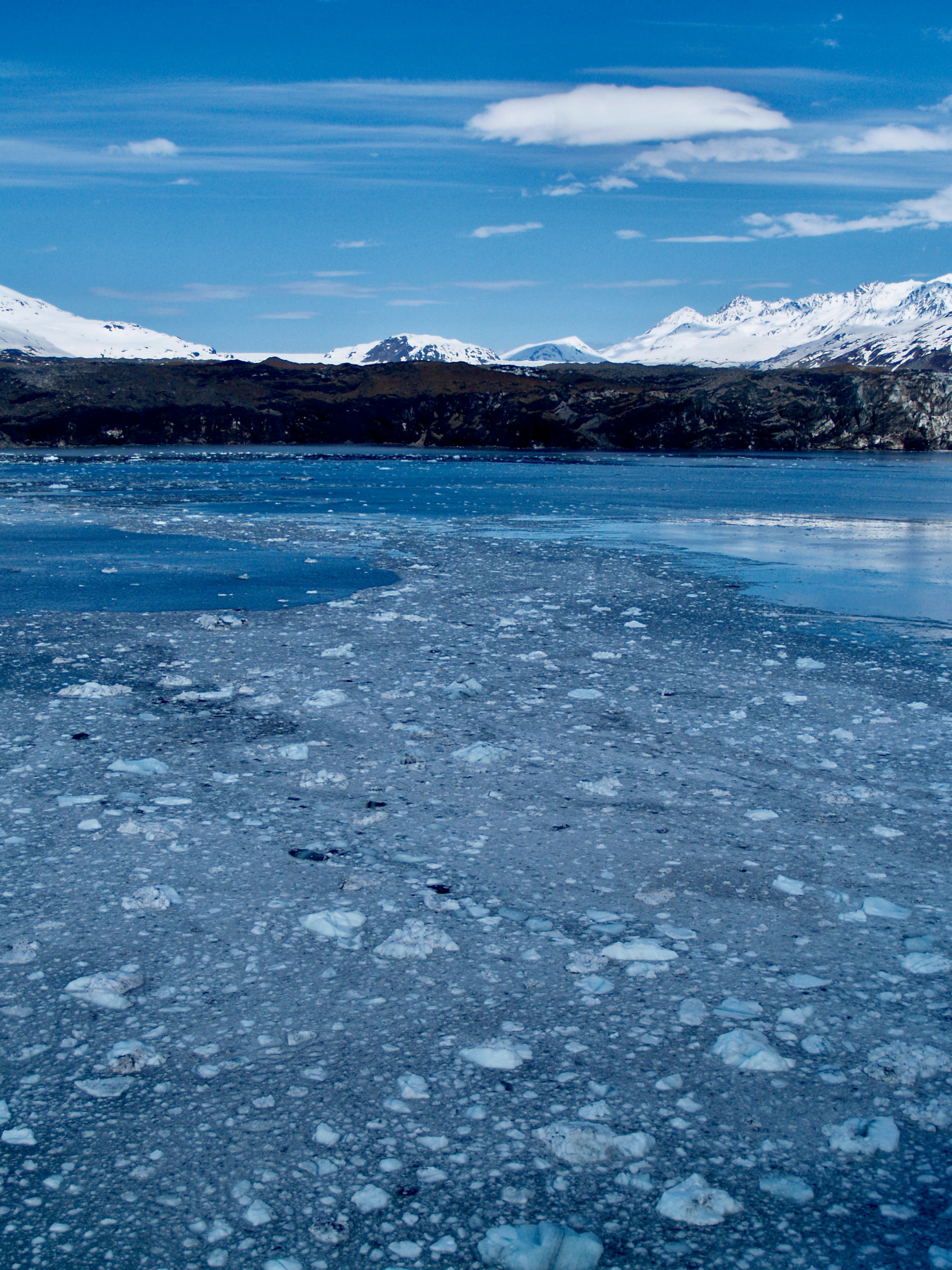 Photo by peterburdon