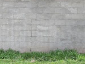 A cracked concrete wall with a vertical seam and a strip of green grass at the base. The wall's surface appears weathered and aged, with slight discoloration.
