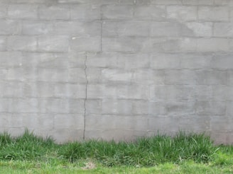 A textured image of a weathered, cracked wall with green weeds pushing through.