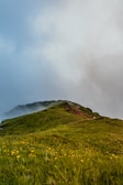 Wide shot of rolling hills covered in wildflowers under a soft morning mist.