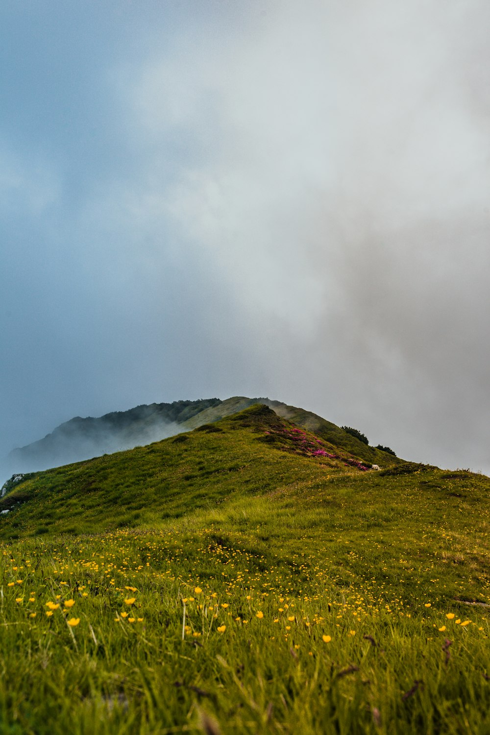 green grass field under white clouds