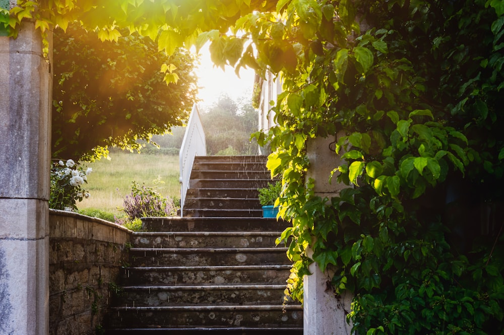 a set of stairs leading up to a lush green field